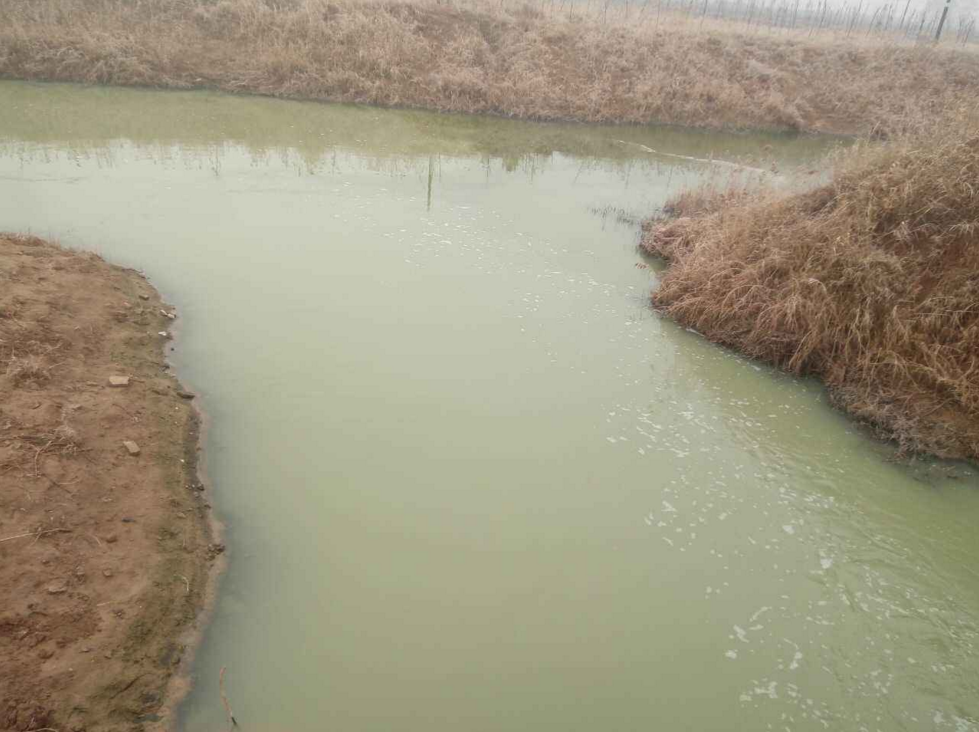 1535621477395226.png 1535621477395226.png